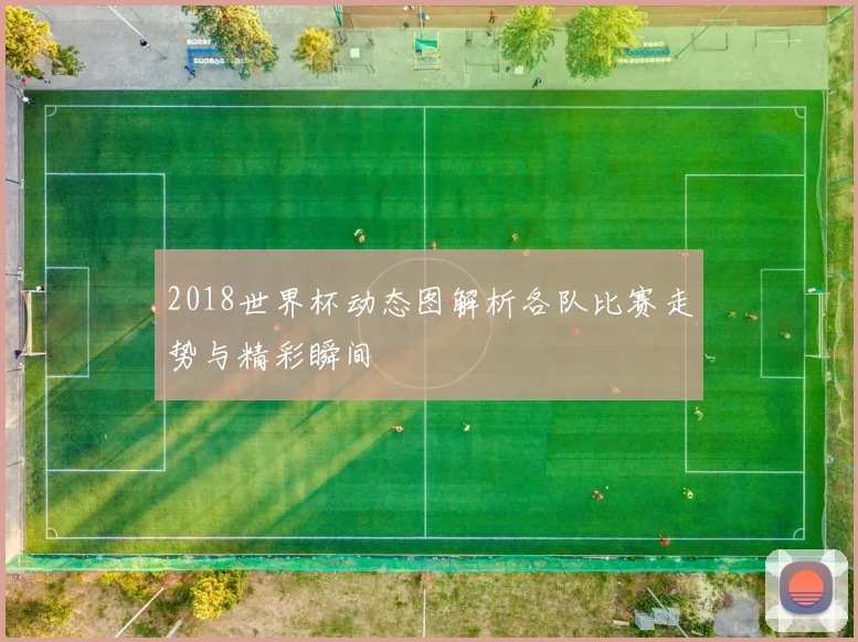 2018世界杯动态图解析各队比赛走势与精彩瞬间