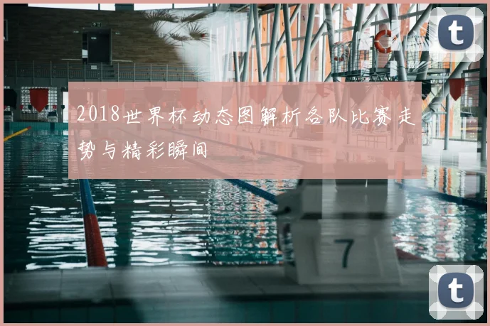 2018世界杯动态图解析各队比赛走势与精彩瞬间