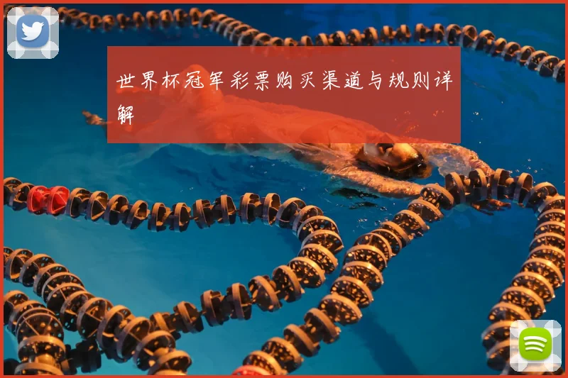 世界杯冠军彩票购买渠道与规则详解
