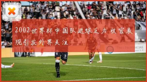 2002世界杯中国队进球乏力 收官表现引发外界关注