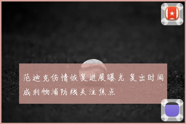 范迪克伤情恢复进展曝光 复出时间成利物浦防线关注焦点